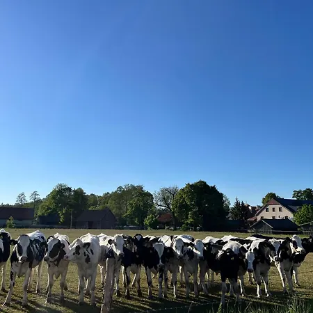 Piasutno Vila *